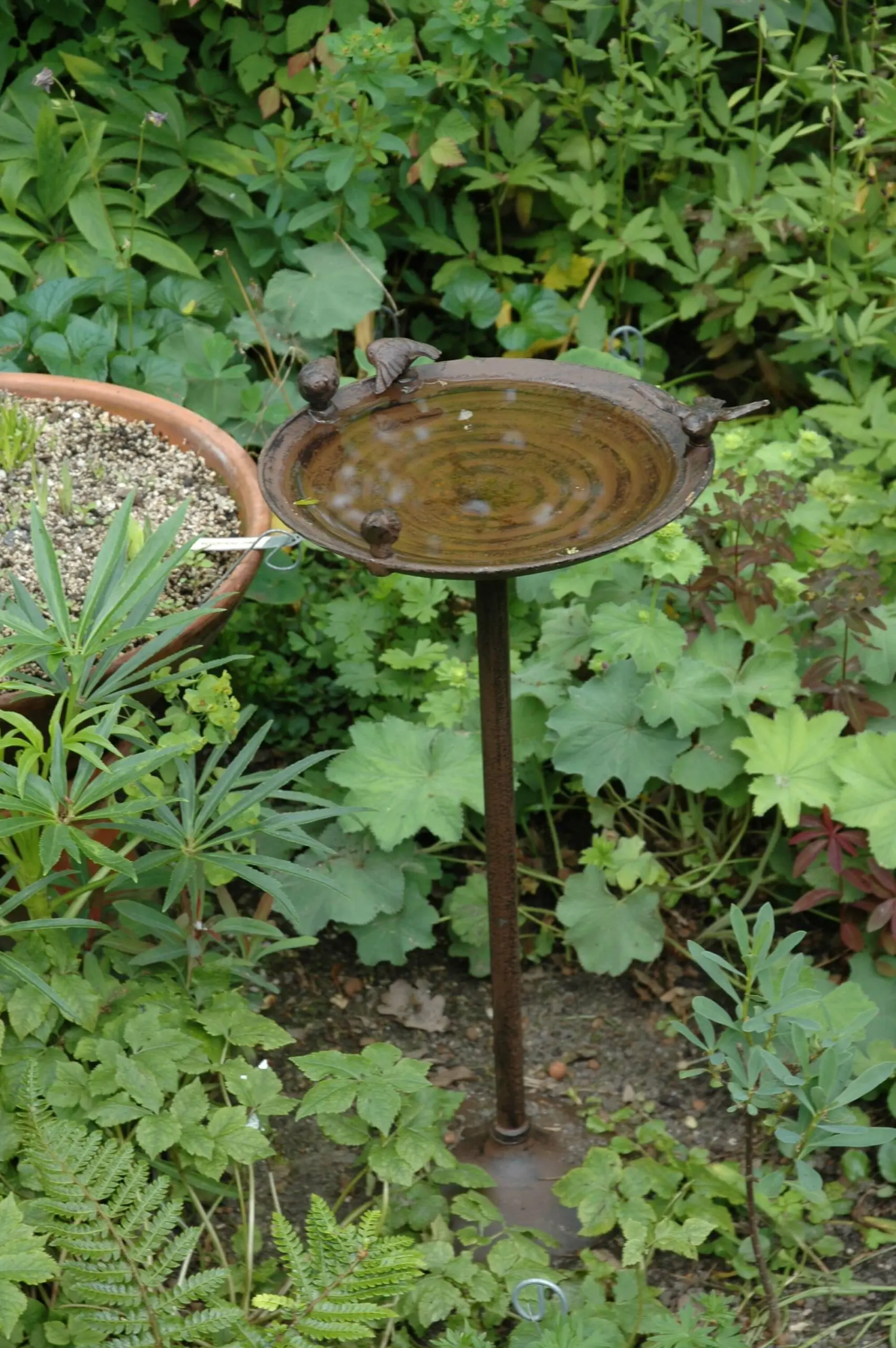 Vogelschaal, vogelbad met 4 vogels op hoge voet, gietijzer, FB91 - Afbeelding 3
