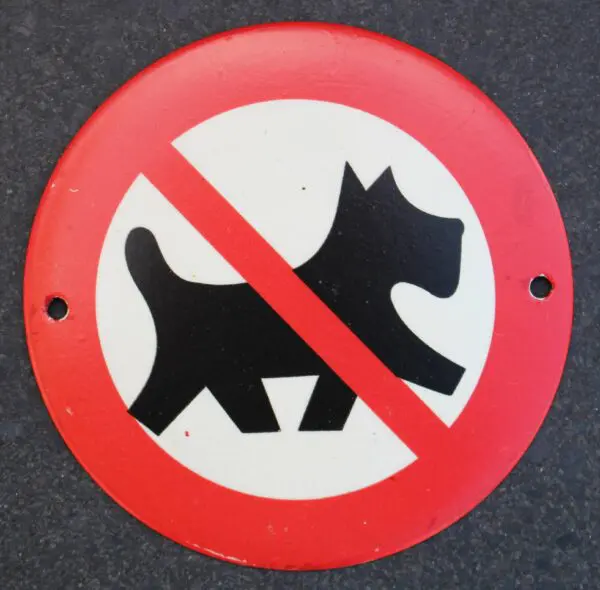 Hondenbordje: "Verboden voor Honden" met rode rand HB101