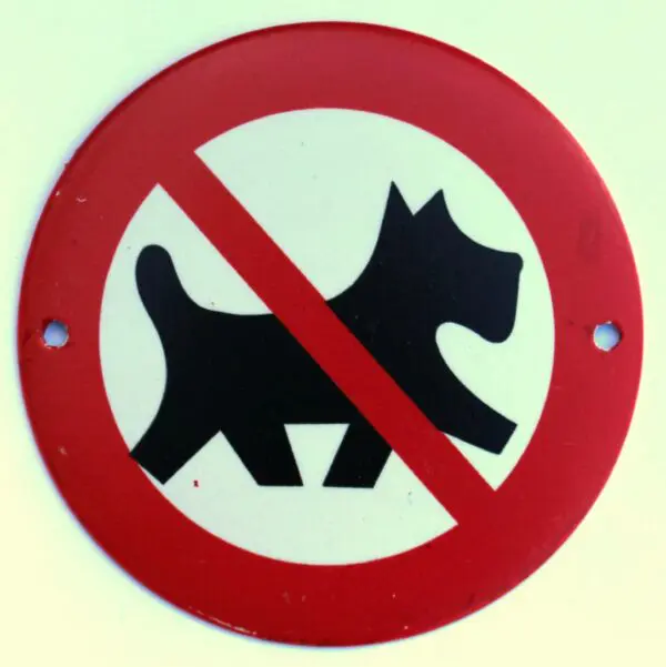 Hondenbordje: "Verboden voor Honden" met rode rand HB101 - Afbeelding 2