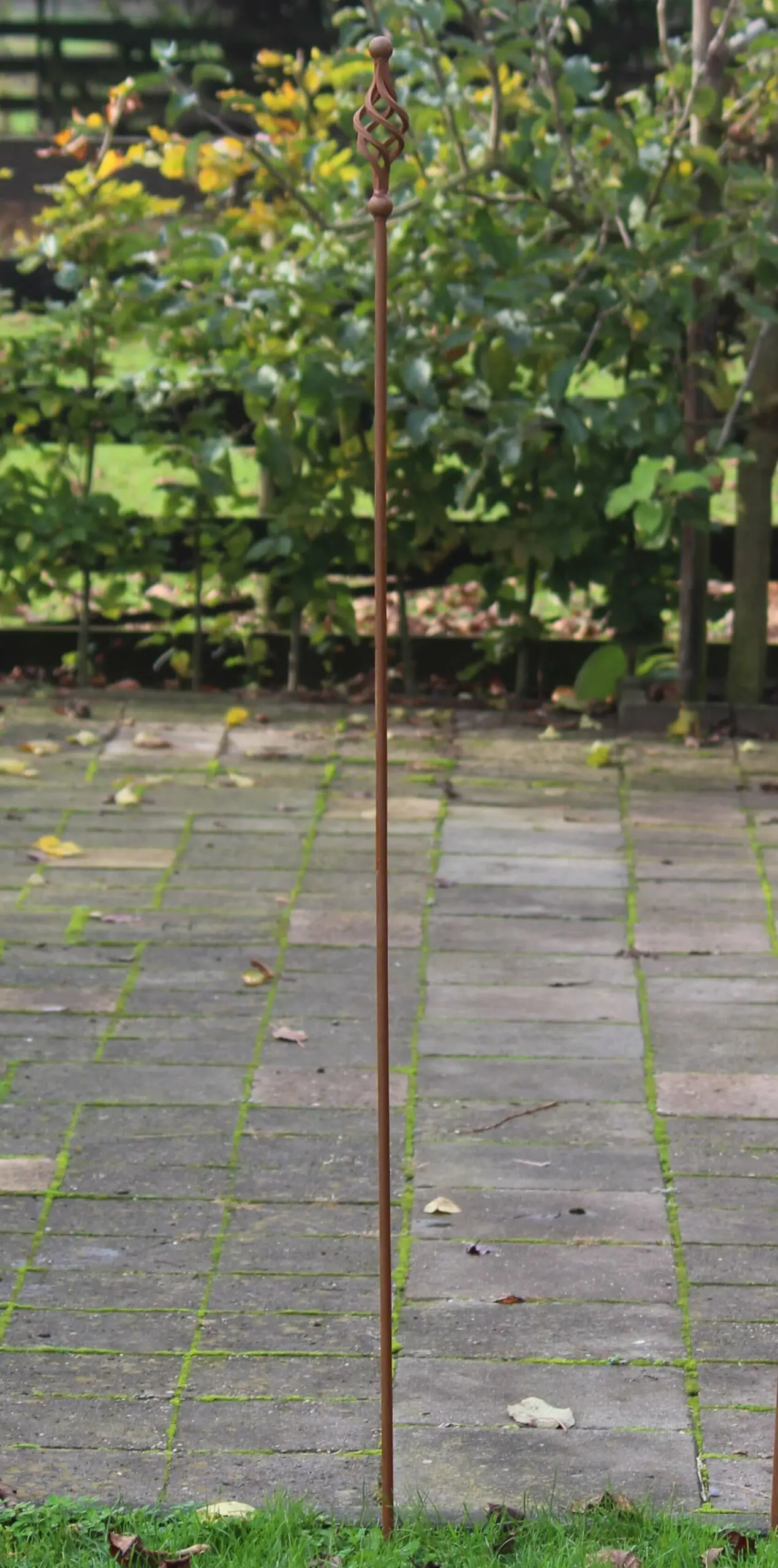 Plantensteun met sierknop, 150 cm., roestbruin PS215 - Afbeelding 2