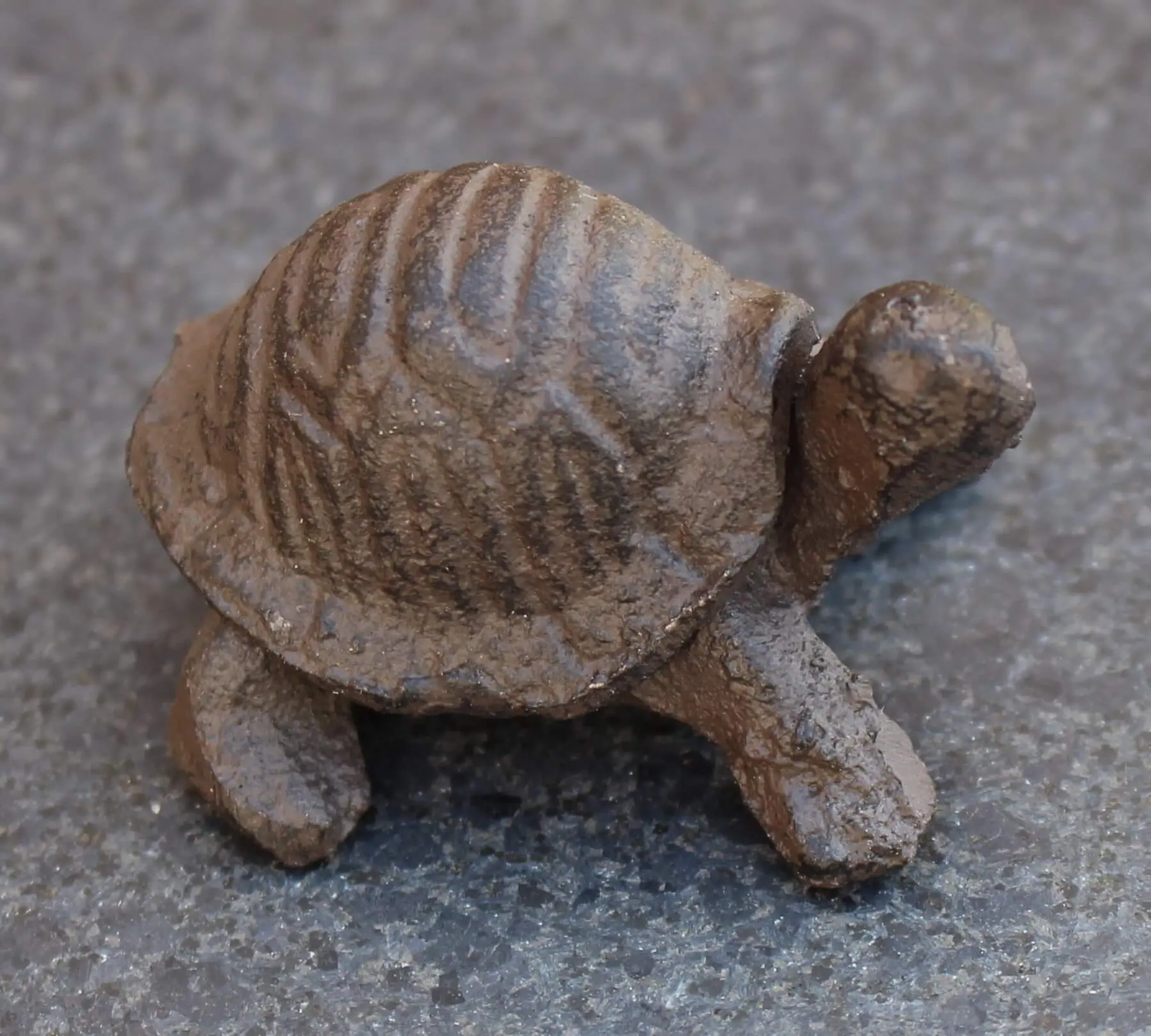 Schildpad, klein, gietijzer SG332