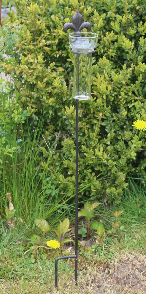 Regenmeter Franse lelie, gietijzer RM151 - Afbeelding 2