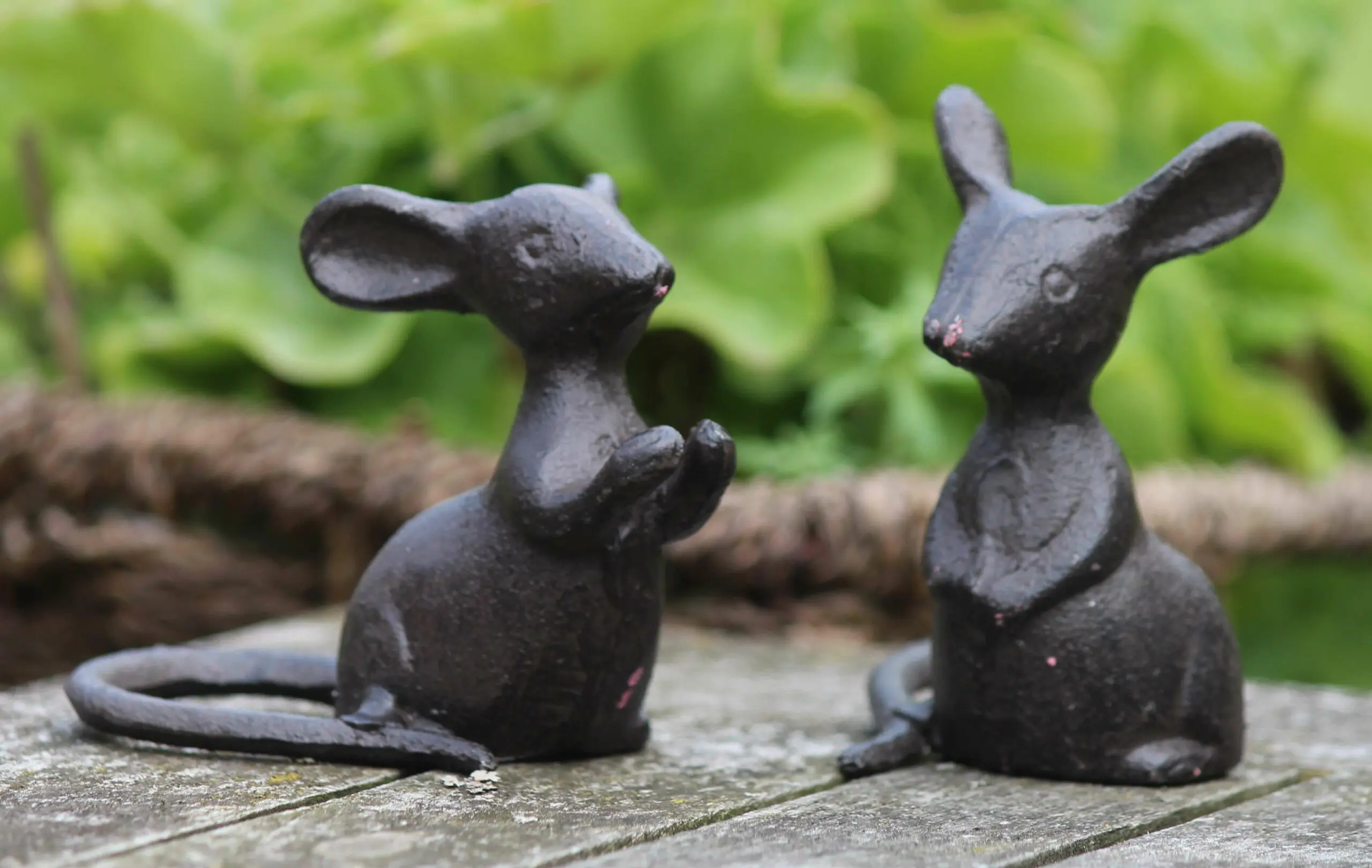 Muis dansend, duo set MG310