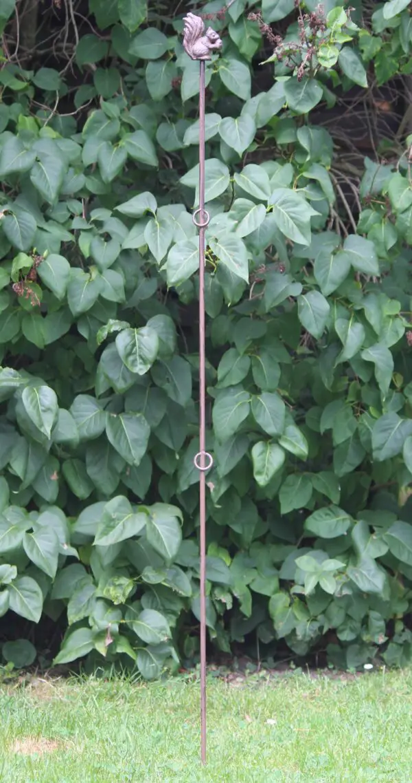 Plantensteun eekhoorn met 2 ogen, 130cm PY25E-2 - Afbeelding 2