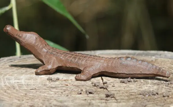 Krokodil Gietijzer