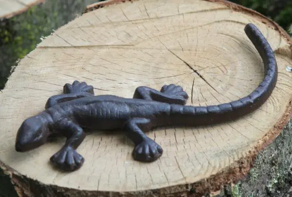 Hagedis, Salamander, Gietijzer TT157