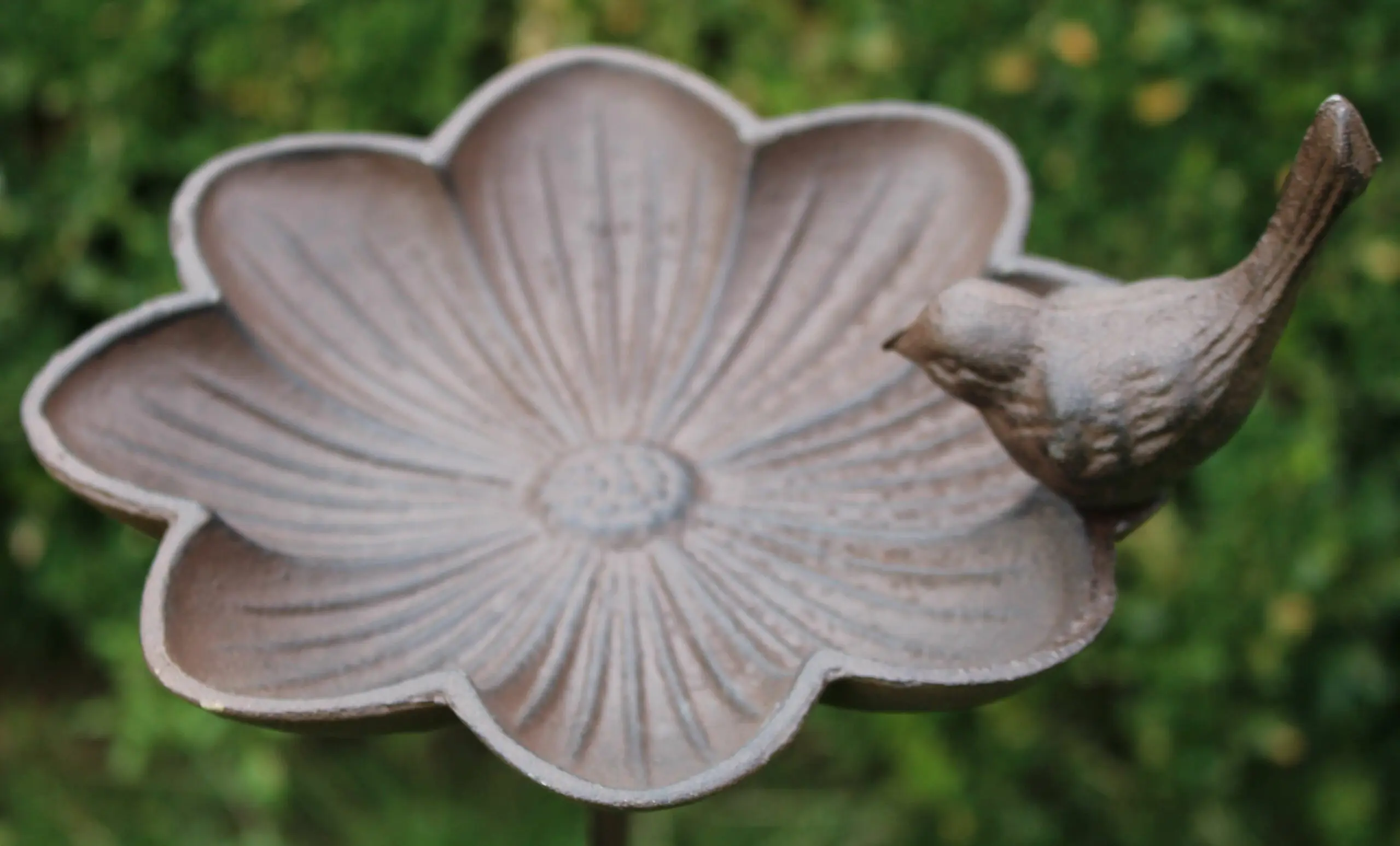 Tuinsteker bloem, vogelschaal FB302