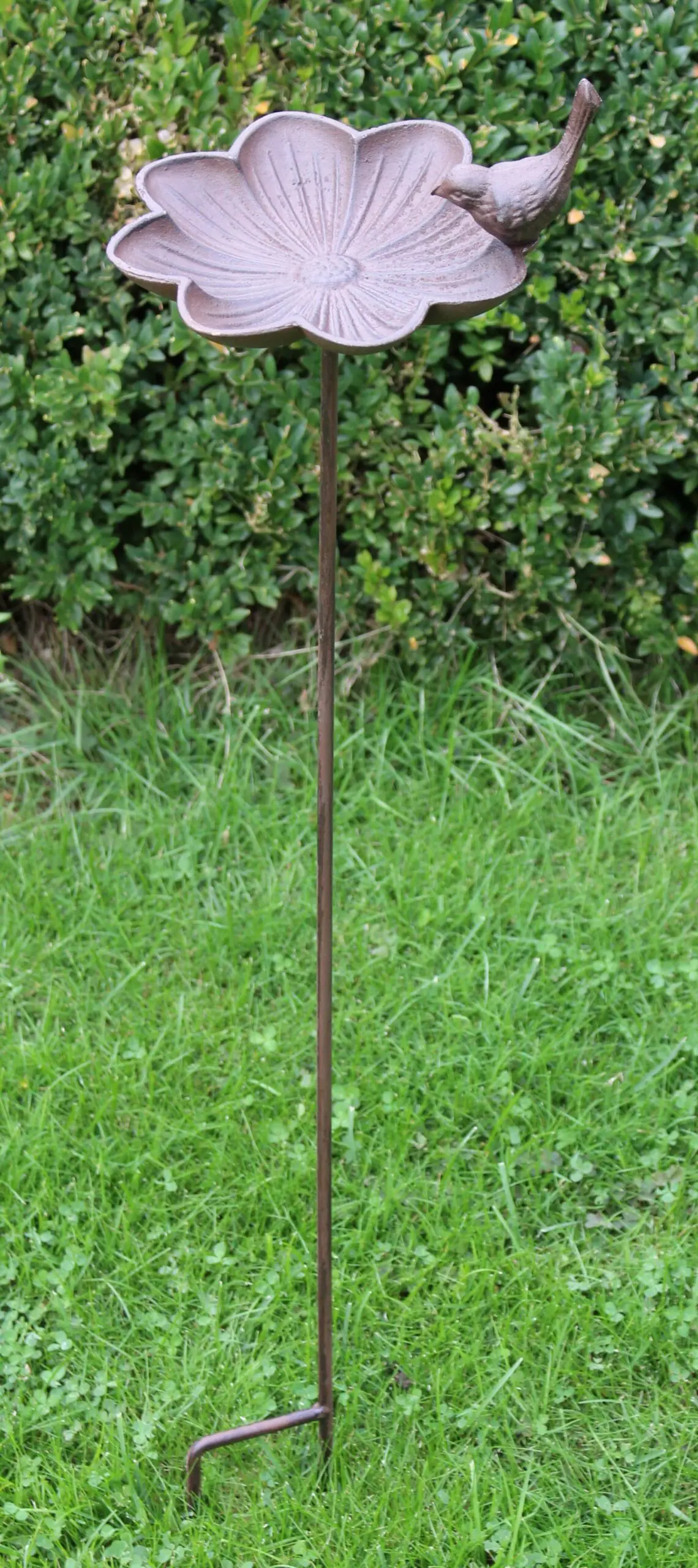 Tuinsteker bloem, vogelschaal FB302 - Afbeelding 2