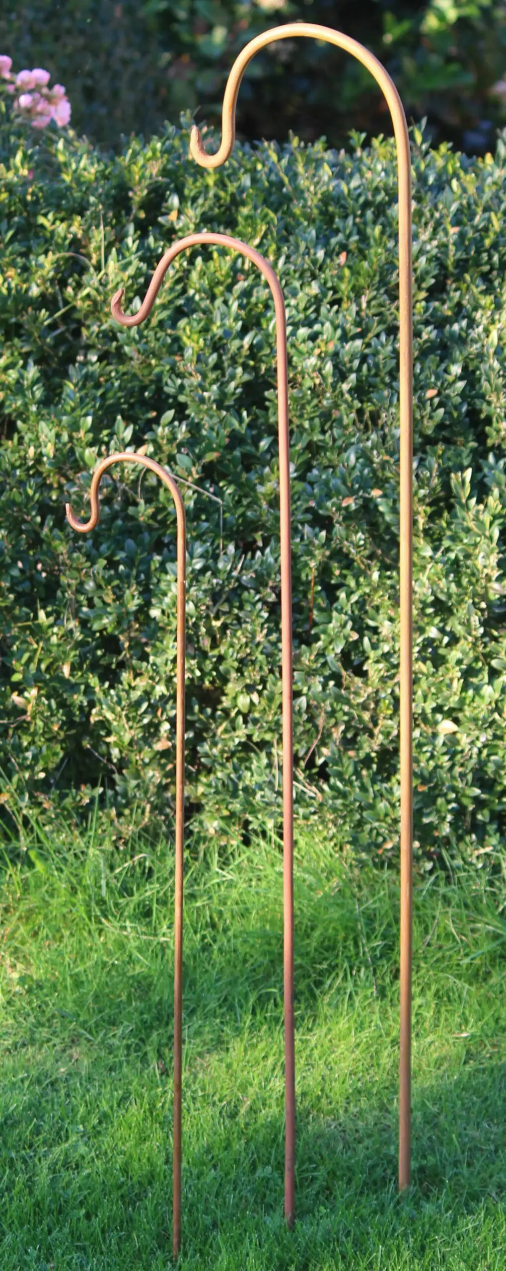 Tuinhaak, herdersstaf 80 cm. SH10012 - Afbeelding 3