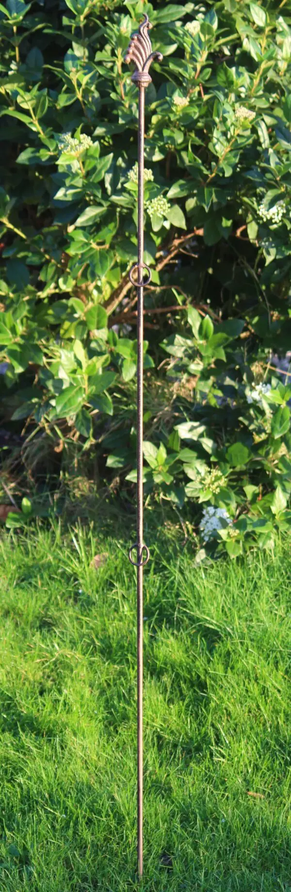 Plantensteun lelie met 2 ogen, 134 cm. PY25L