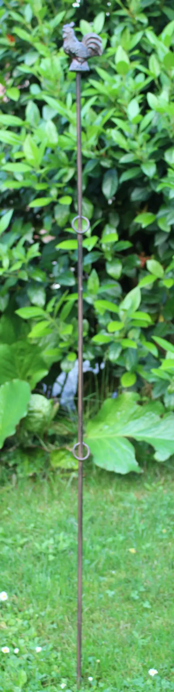 Plantensteun haan, recht met 2 ogen 130 cm. PY25H - Afbeelding 2