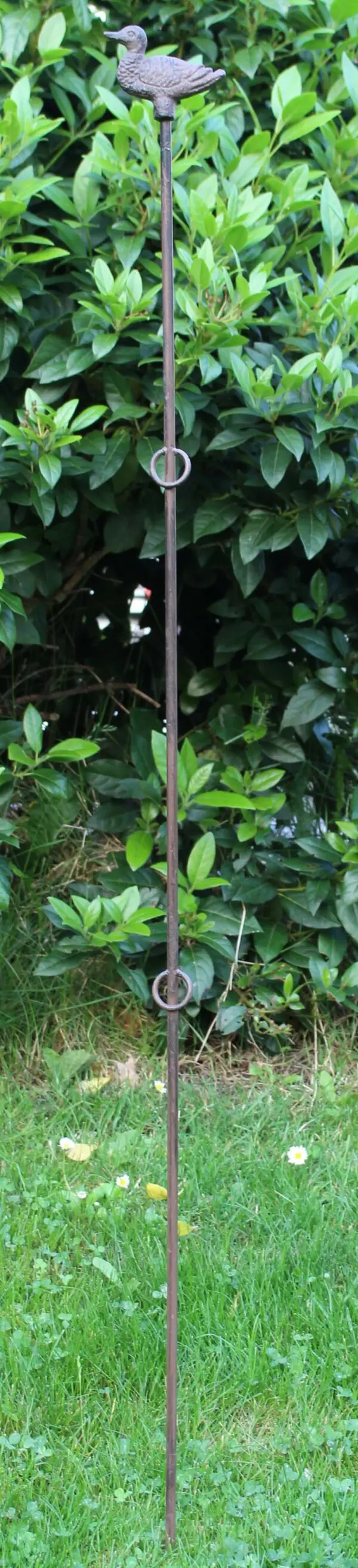 Plantensteun eend, recht met 2 ogen 130 cm. PY25N-4 - Afbeelding 2