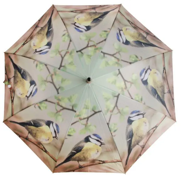 Paraplu vogel, Pimpelmees     TP135D