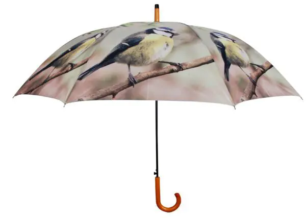 Paraplu vogel, Pimpelmees     TP135D - Afbeelding 2