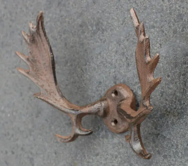 Kapstokhaak gewei met meerdere haken, hert, eland, KH177 - Afbeelding 2