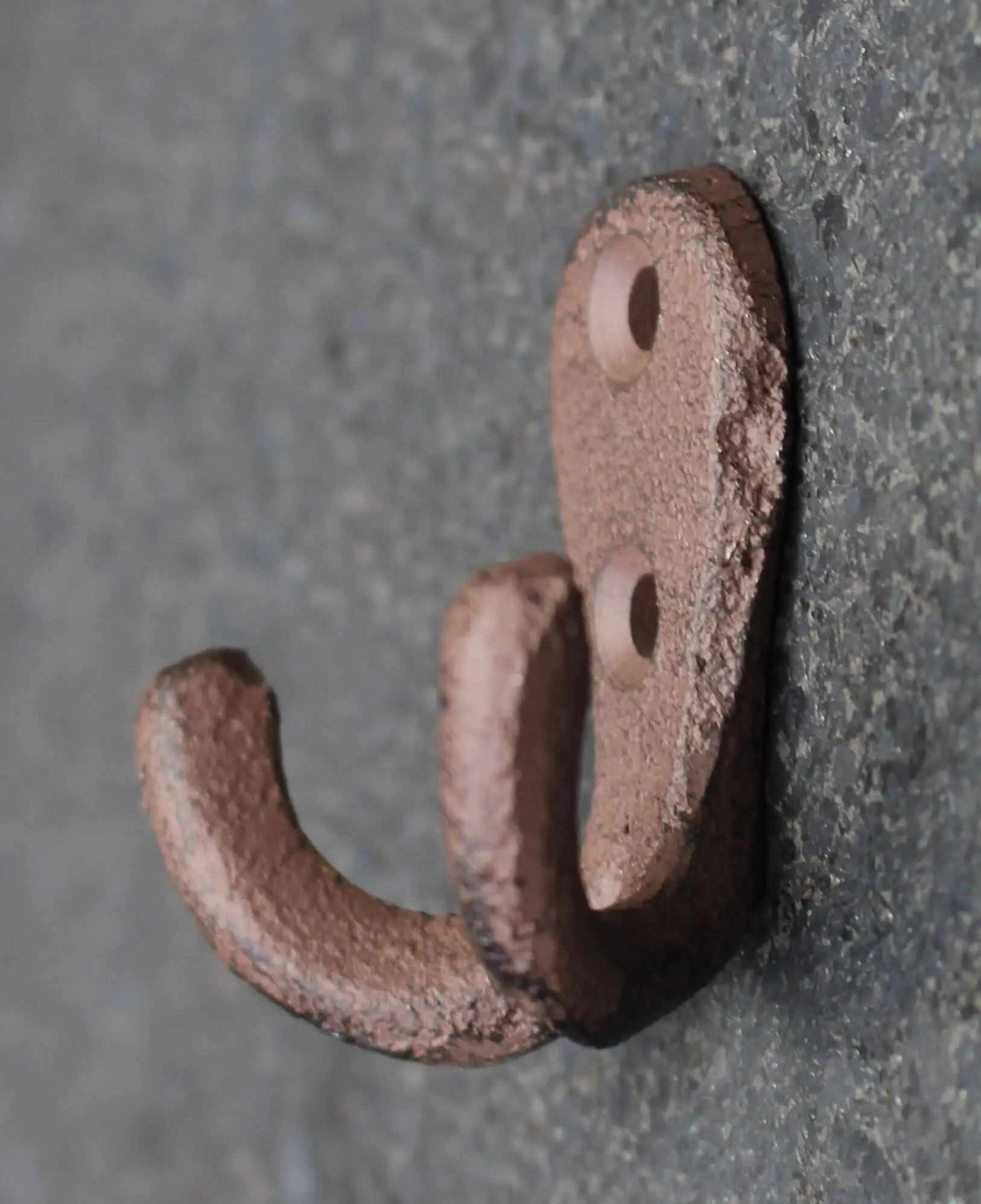 Kapstokhaak met dubbele haak, gietijzer, bruin KH755 - Afbeelding 2