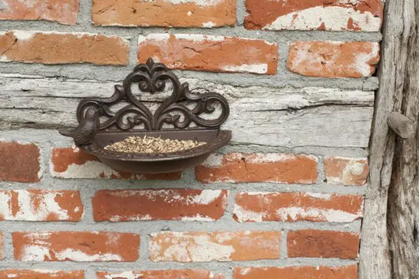 Wandvogelschaal met vogel, sierlijk, gietijzer BR26 - Afbeelding 3