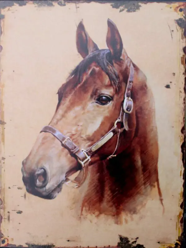 Decoratiebord paard, paardenhoofd, metaal DBP410