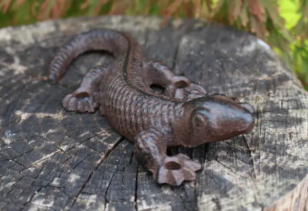 Hagedis, Salamander, Gietijzer HG320