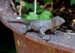 Dierenbeeld hagedis, salamander, gietijzer  HG325