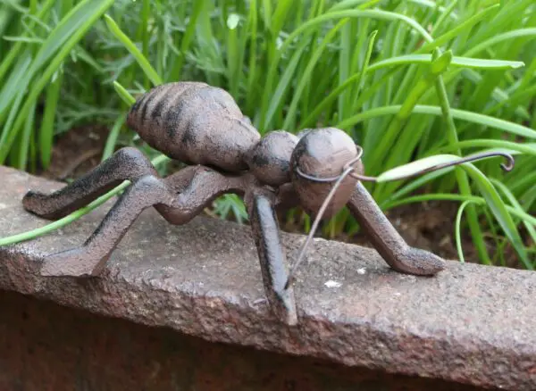 Dierenbeeld mier, gietijzer MG460 - Afbeelding 2
