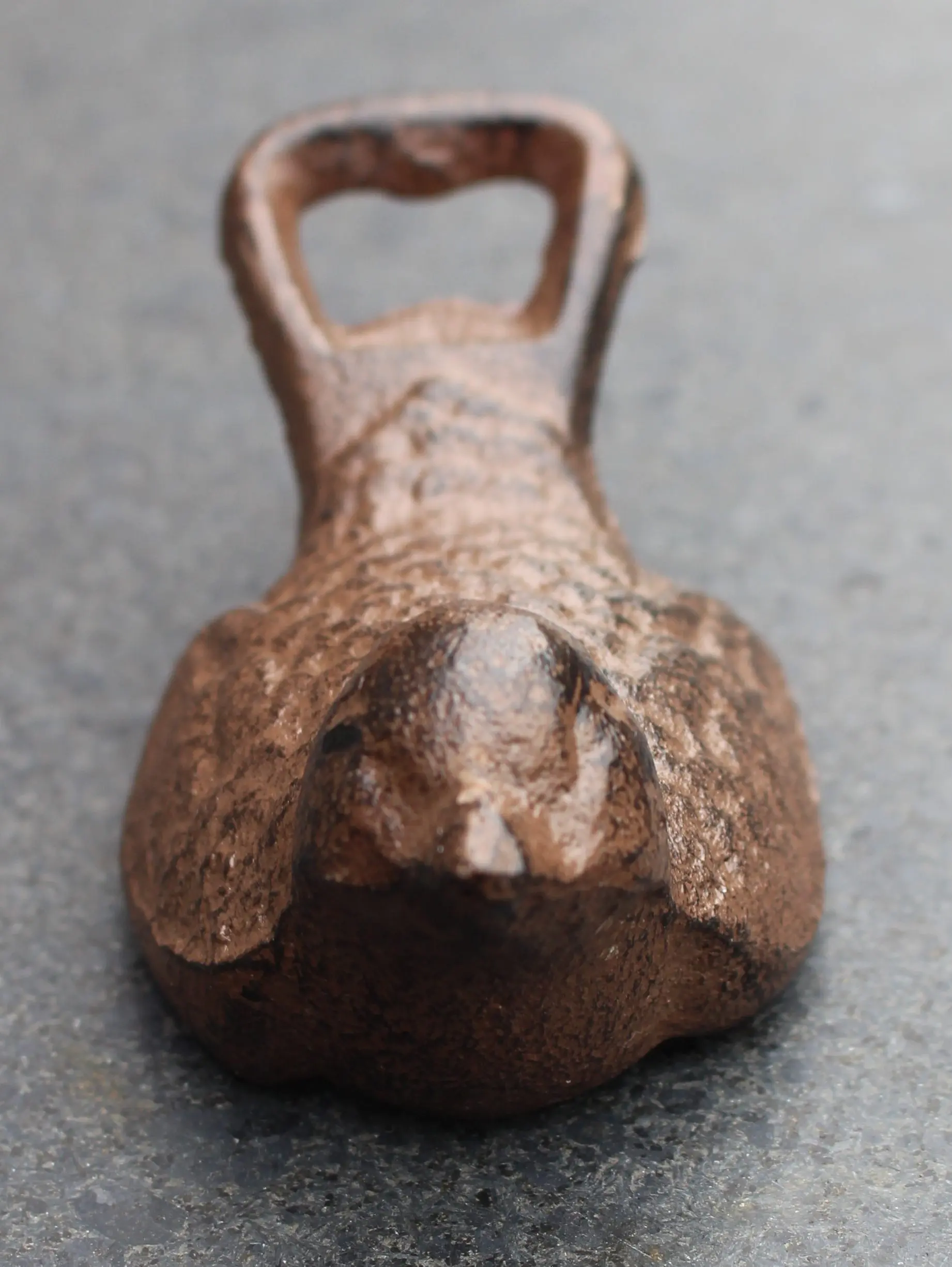 Flesopener Vogel, Gietijzer FG564 - Afbeelding 4