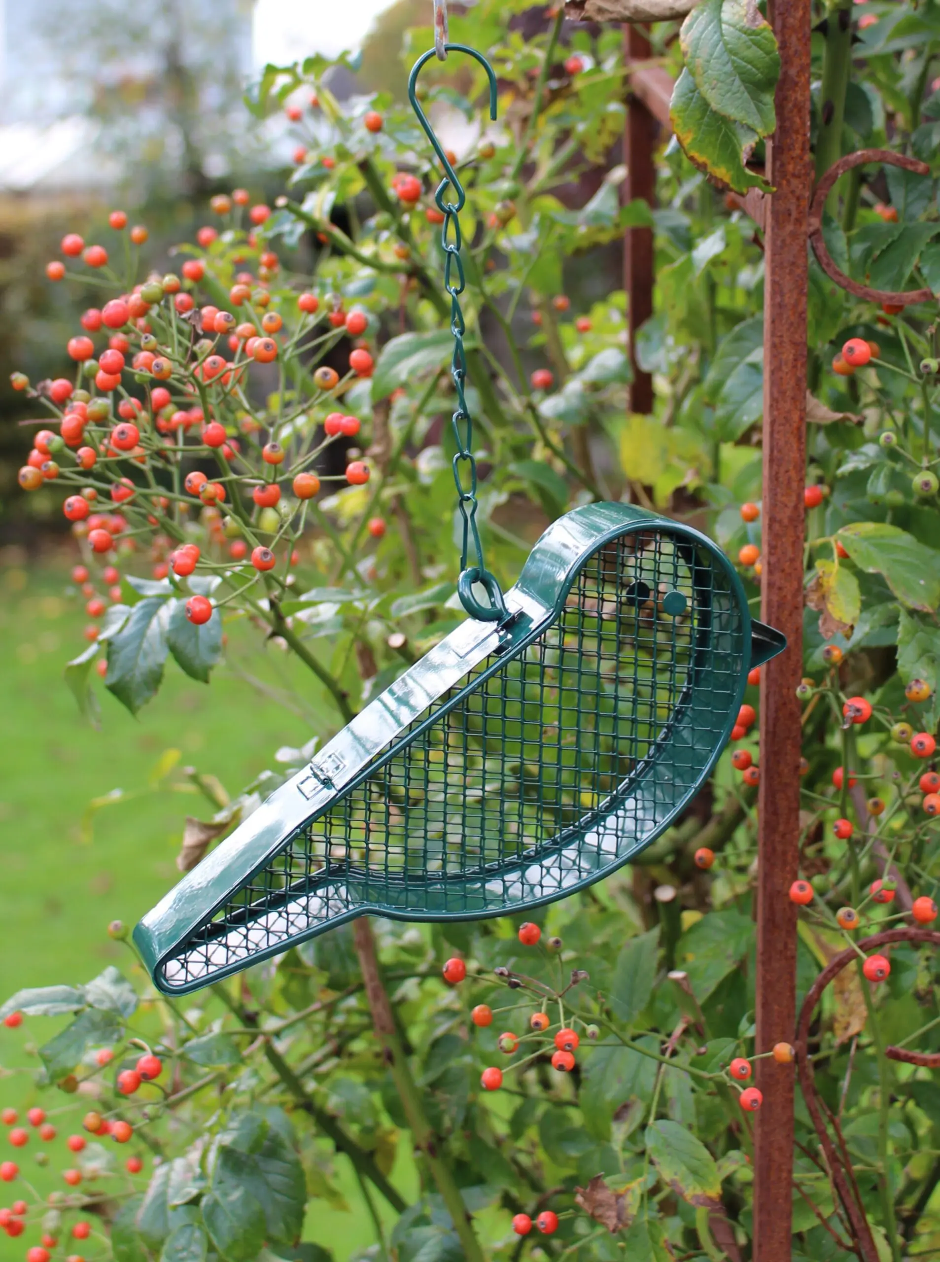 Vogelvoerhanger, Voederkorf Vogel voor Pinda's, Groen, Staal FB427 - Afbeelding 5