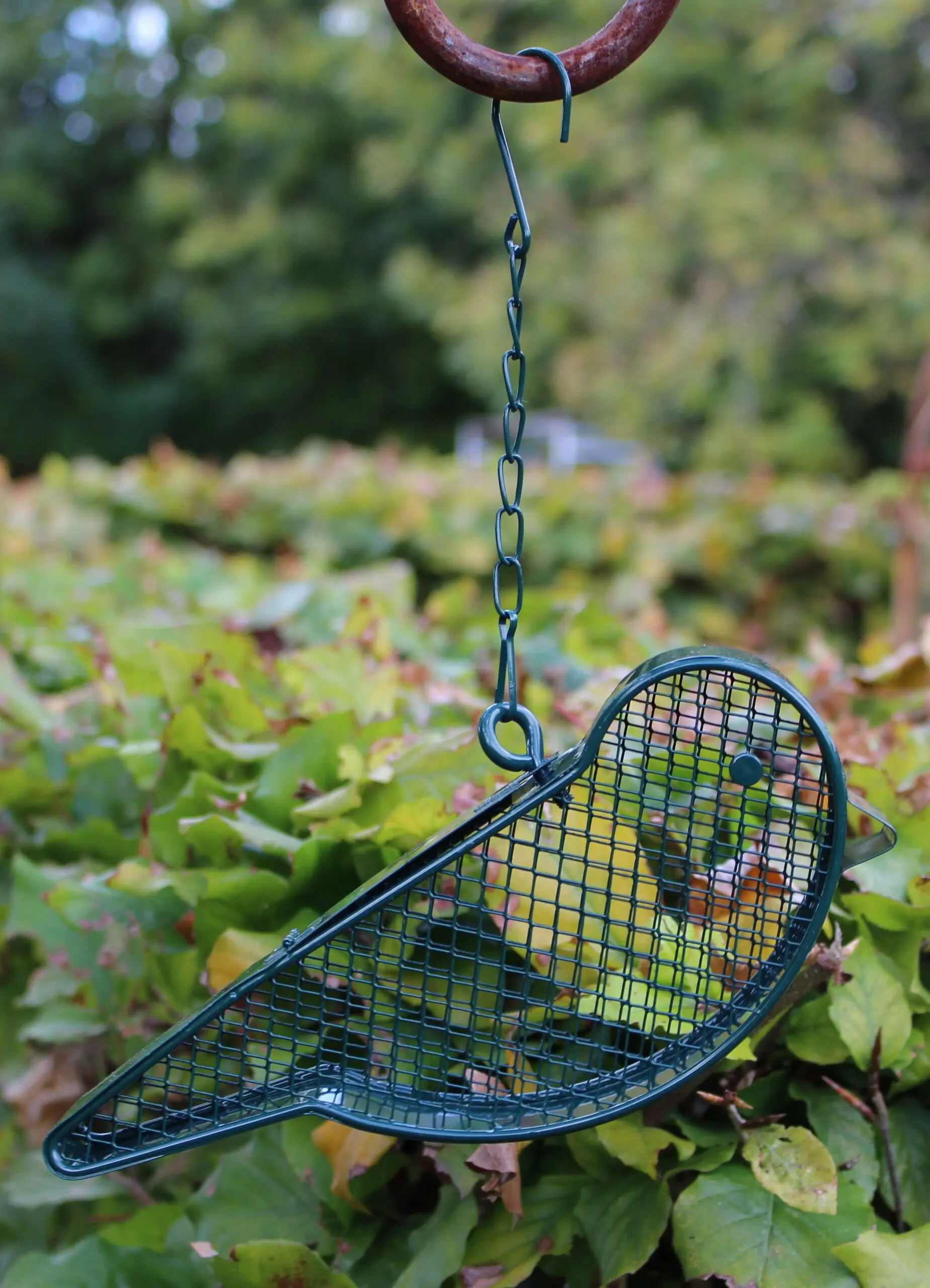 Vogelvoerhanger, Voederkorf Vogel voor Pinda's, Groen, Staal FB427 - Afbeelding 4