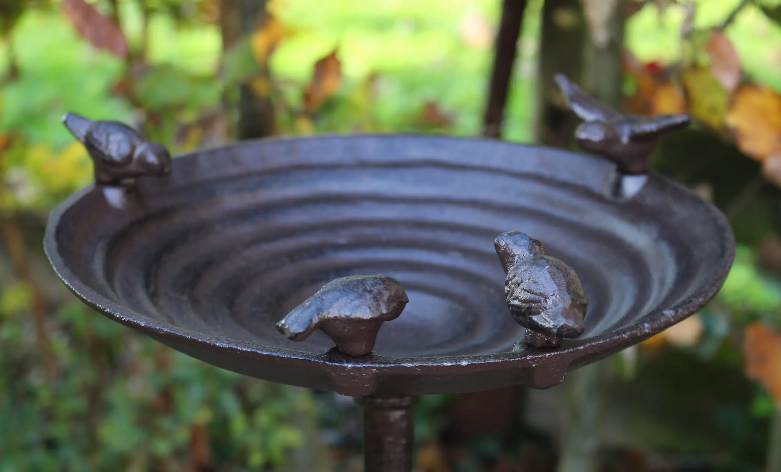 Vogelschaal, vogelbad met 4 vogels op hoge voet, gietijzer, FB91 - Afbeelding 4