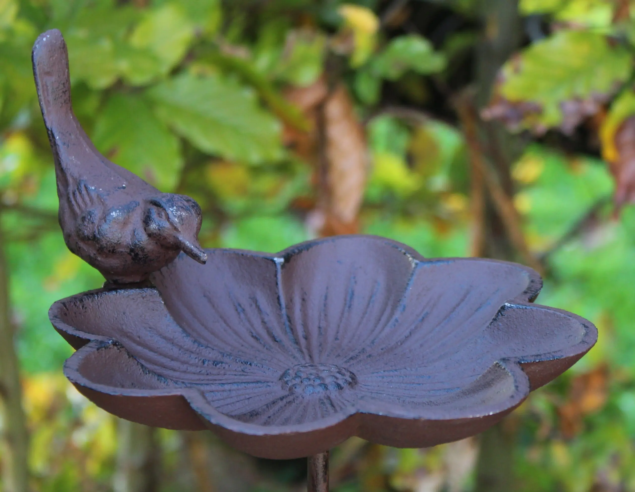 Tuinsteker bloem, vogelschaal FB302 - Afbeelding 4