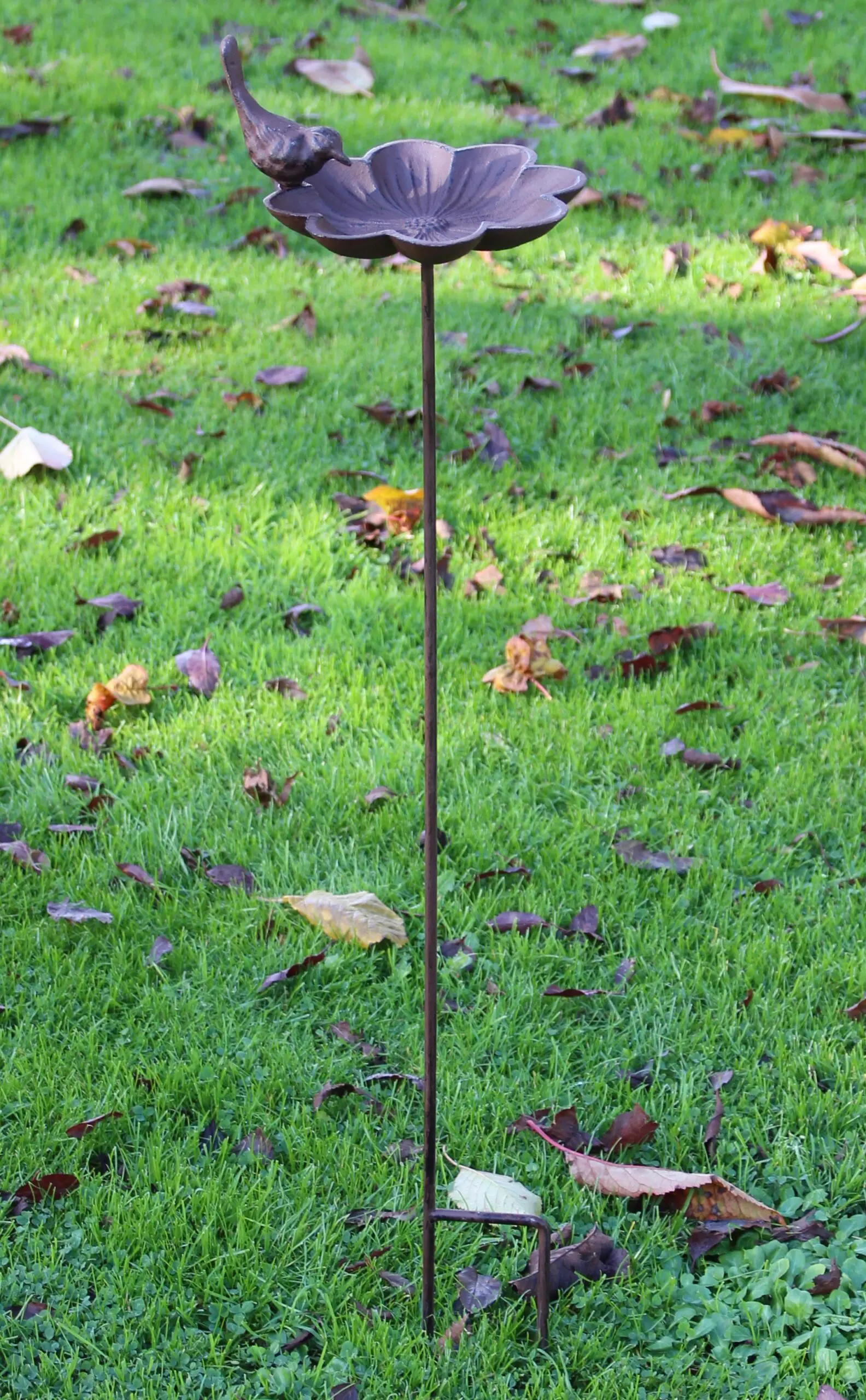 Tuinsteker bloem, vogelschaal FB302 - Afbeelding 5