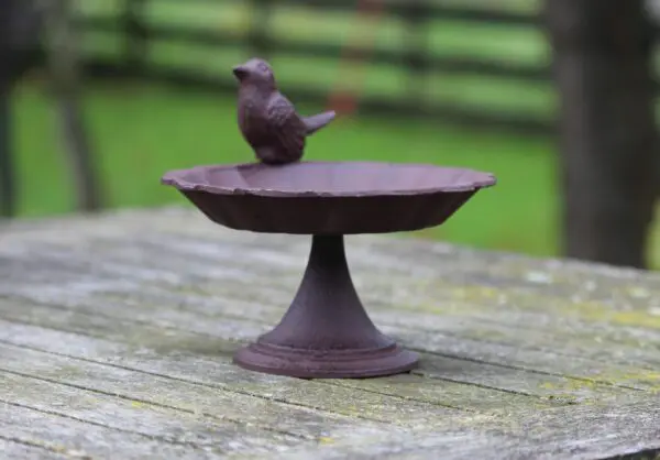 Vogelschaal, vogelbad op voet, gietijzer, FB164 - Afbeelding 2