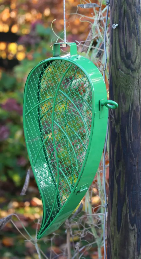 Vogelvoerhanger, voederkorf blad voor pinda's, groen, staal FB426