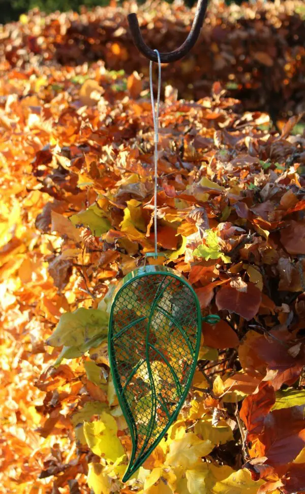 Vogelvoerhanger, voederkorf blad voor pinda's, groen, staal FB426 - Afbeelding 2