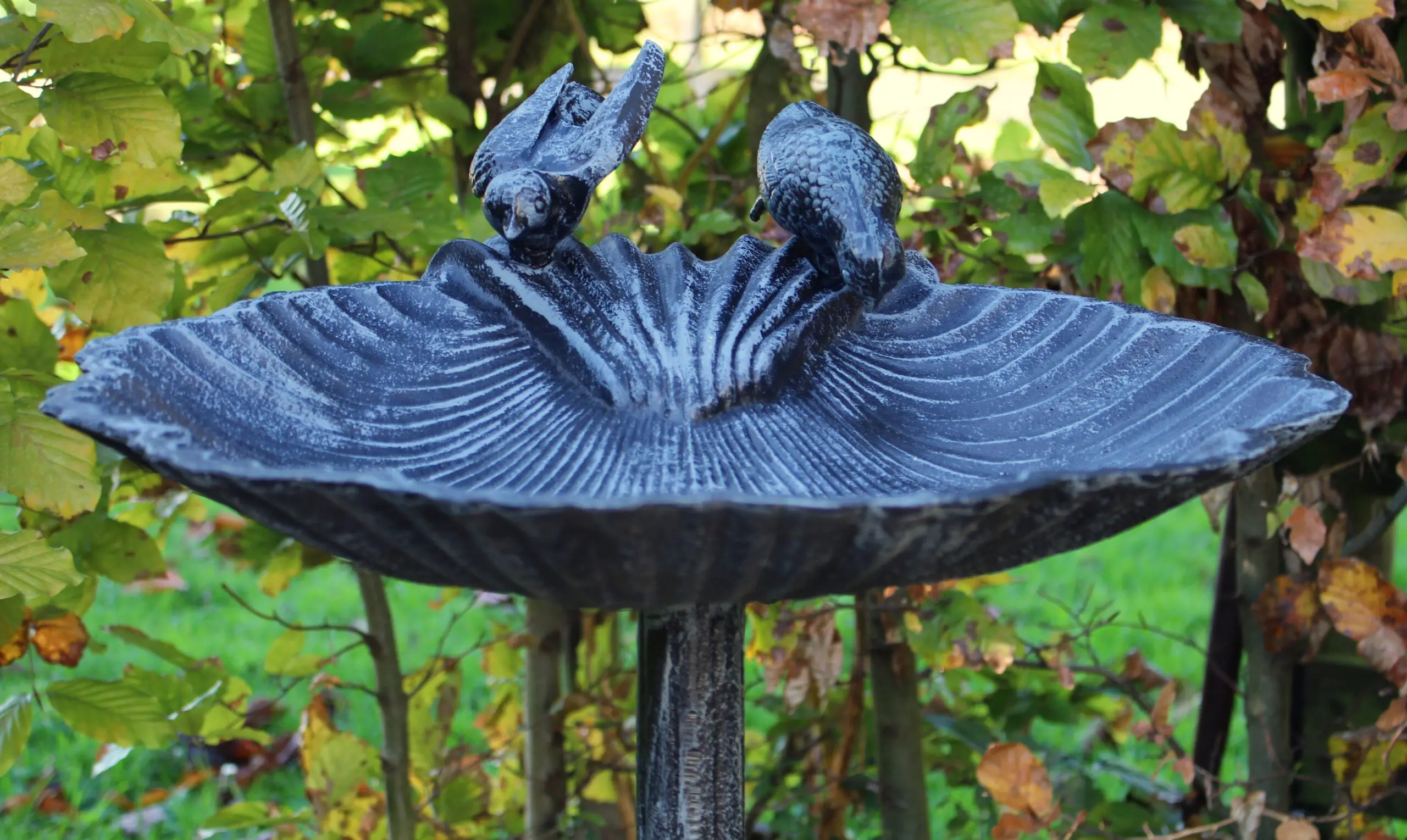 Vogelschaal, vogelbad op hoge voet, gietijzer, grijs-zwart VB174G - Afbeelding 2