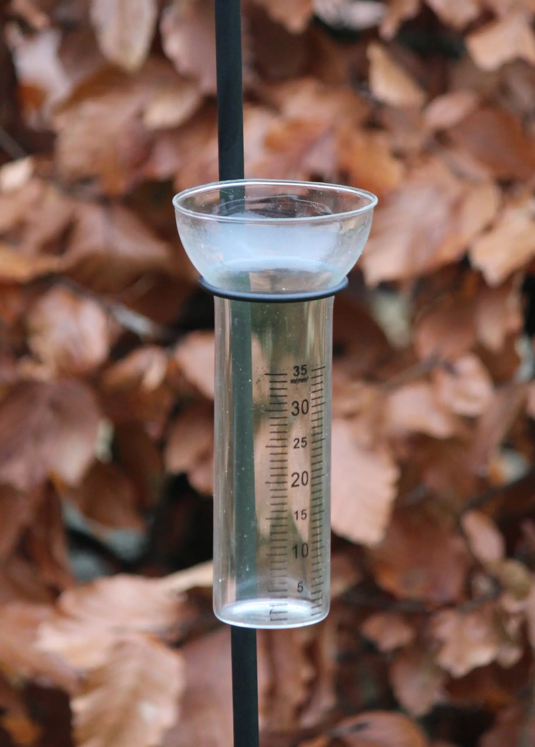 Regenmeter vis, blauw- grijs, metaal             RM130A - Afbeelding 4