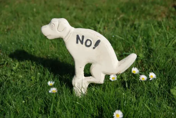 Hondenbordje: NO, hier niet poepen, gietijzer, wit HB14