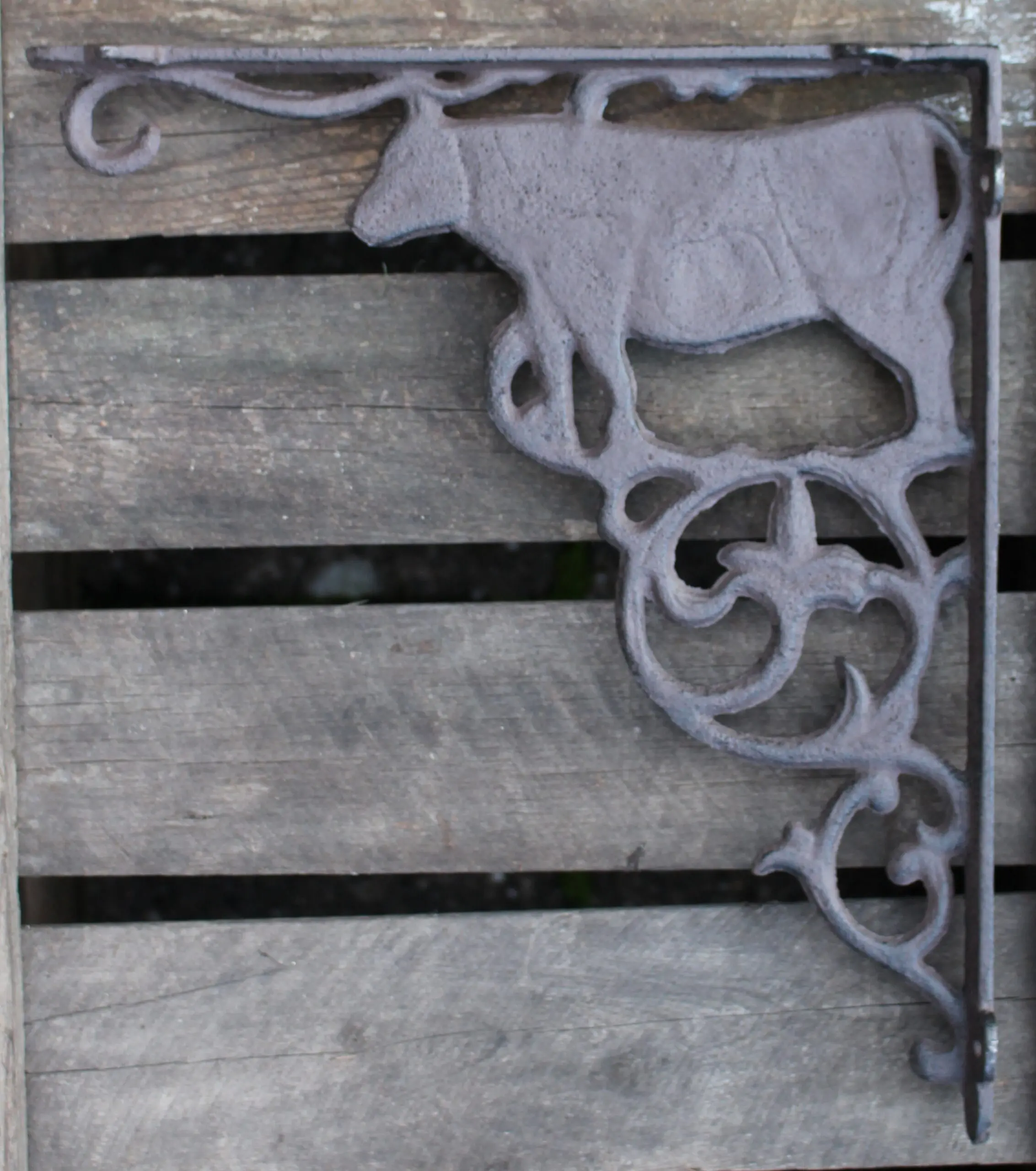 Plankdrager koe 25,3 cm., gietijzer 6Y3018 - Afbeelding 3