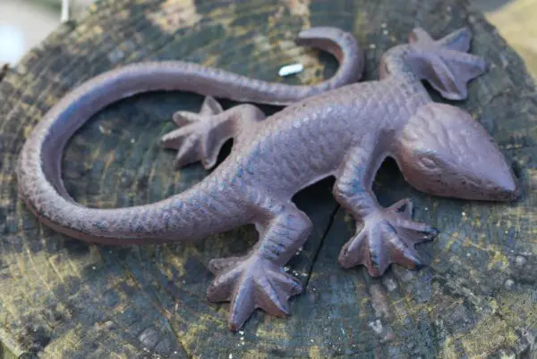 Salamander, gekko, 16 cm. gietijzer    TT03 - Afbeelding 3