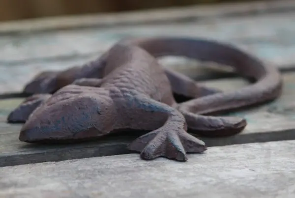 Salamander, gekko, 16 cm. gietijzer    TT03 - Afbeelding 4