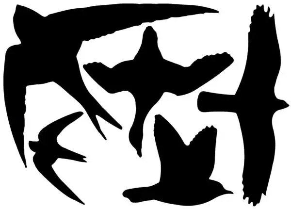Raamstickers vogels, zwart   FB9