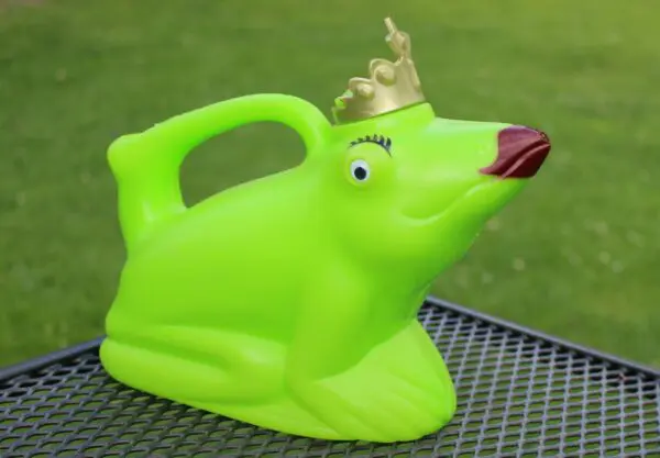 Gieter kikkerkoningin met kroon, groen  TG134