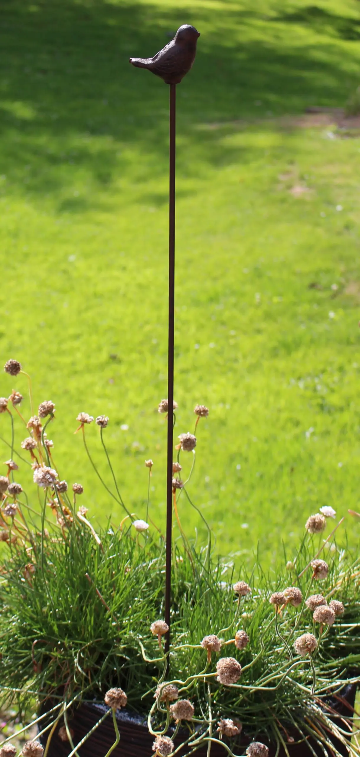 Tuinsteker vogel, gietijzer      SV162 - Afbeelding 3