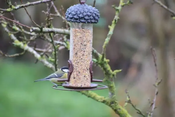 Voedersilo eikel, silo voor vogelvoer, bruin FB533 - Afbeelding 2