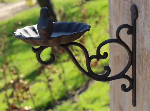 Wandhaak met vogelschaal en vogel, gietijzer VB163 - Afbeelding 2