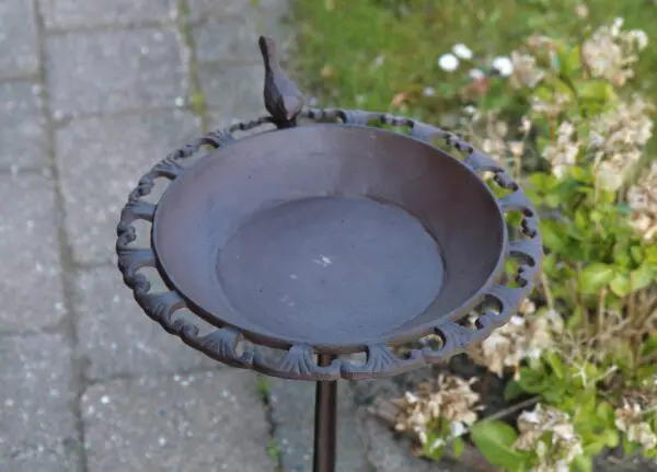 Vogelschaal, vogelbad op hoge voet, gietijzer  VB217 - Afbeelding 4