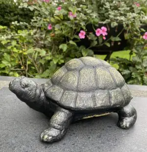 Schildpad, Gietijzer, Bronslook SG580