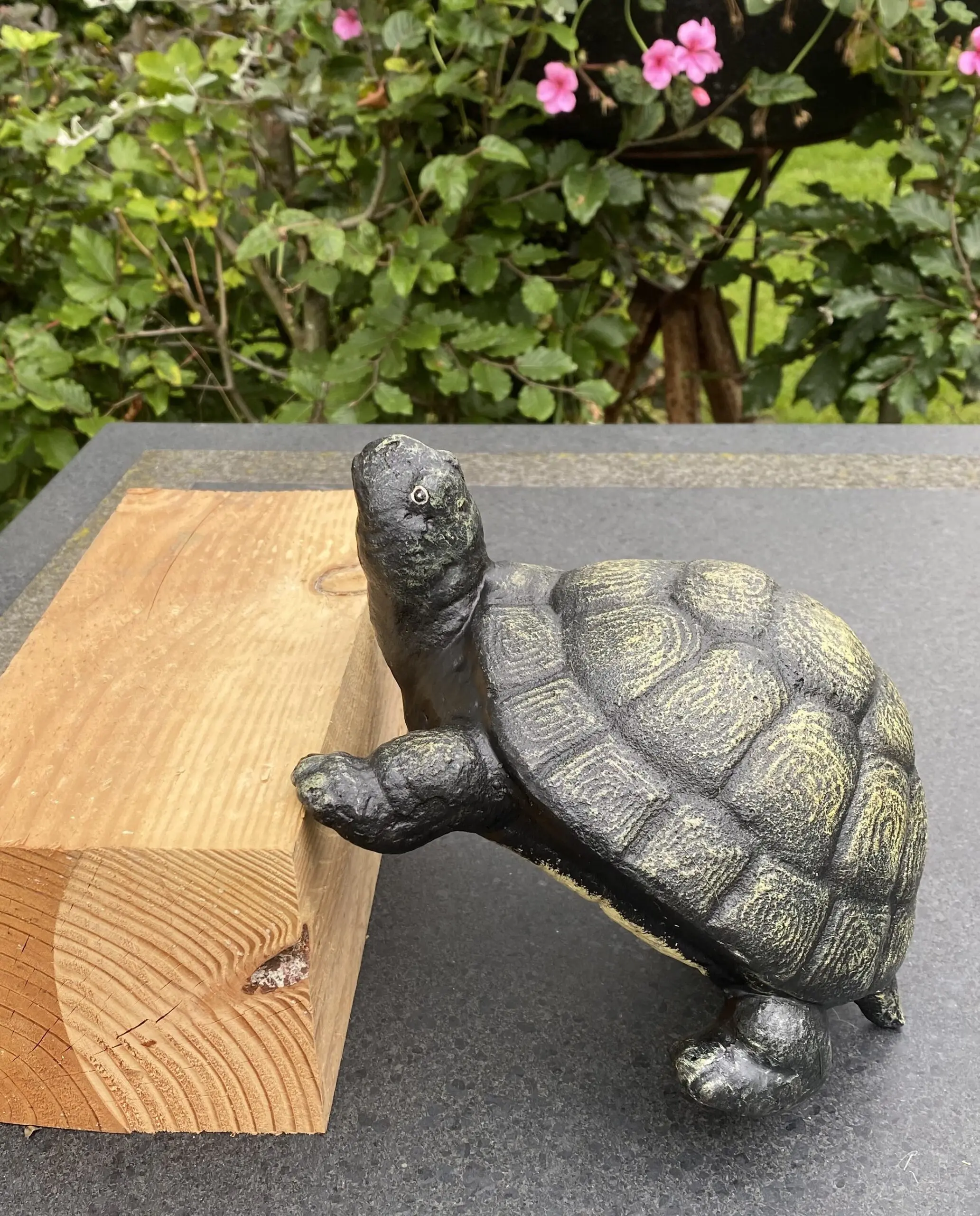 Schildpad, Gietijzer, Bronslook SG580 - Afbeelding 2