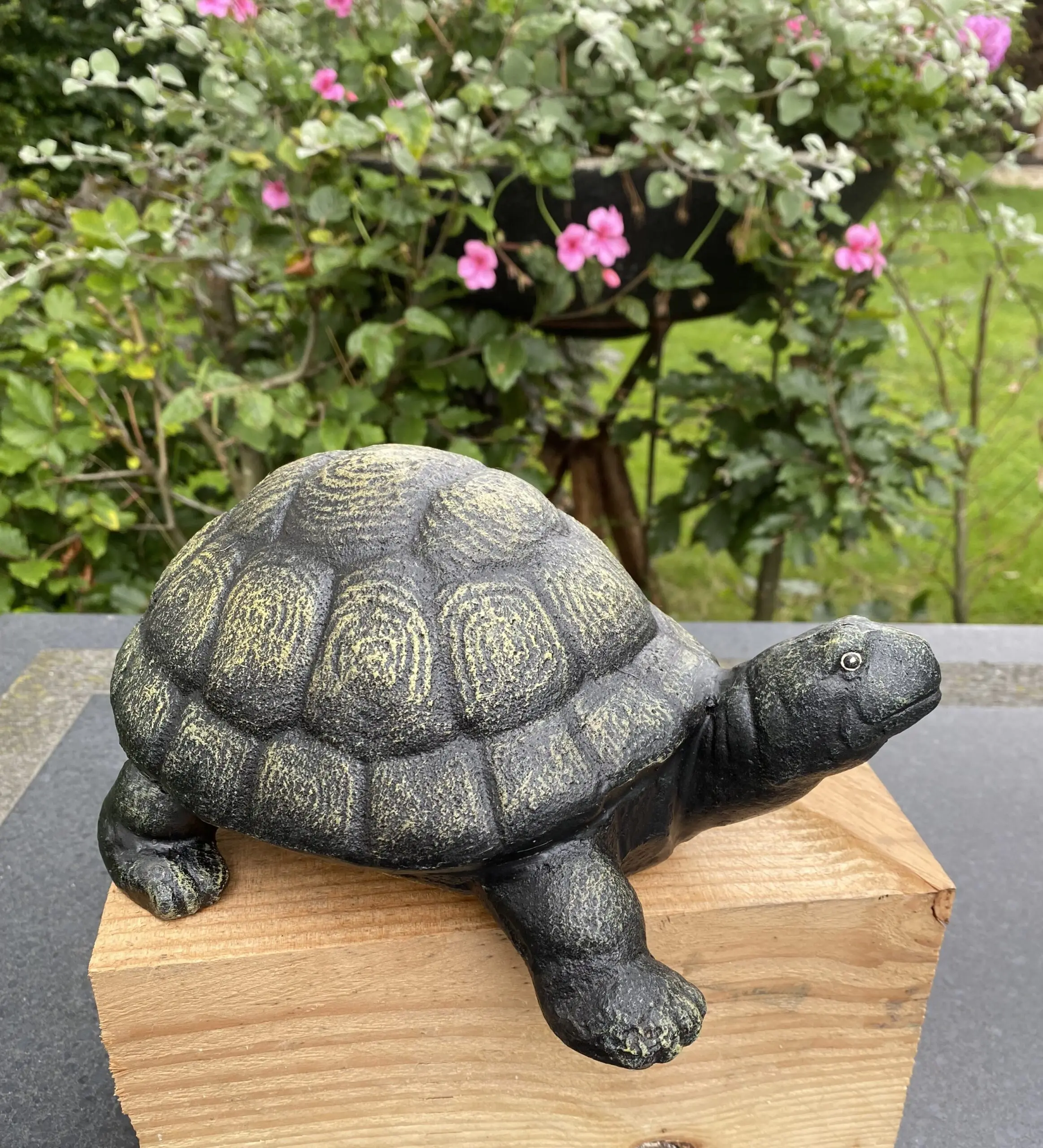 Schildpad, Gietijzer, Bronslook SG580 - Afbeelding 3
