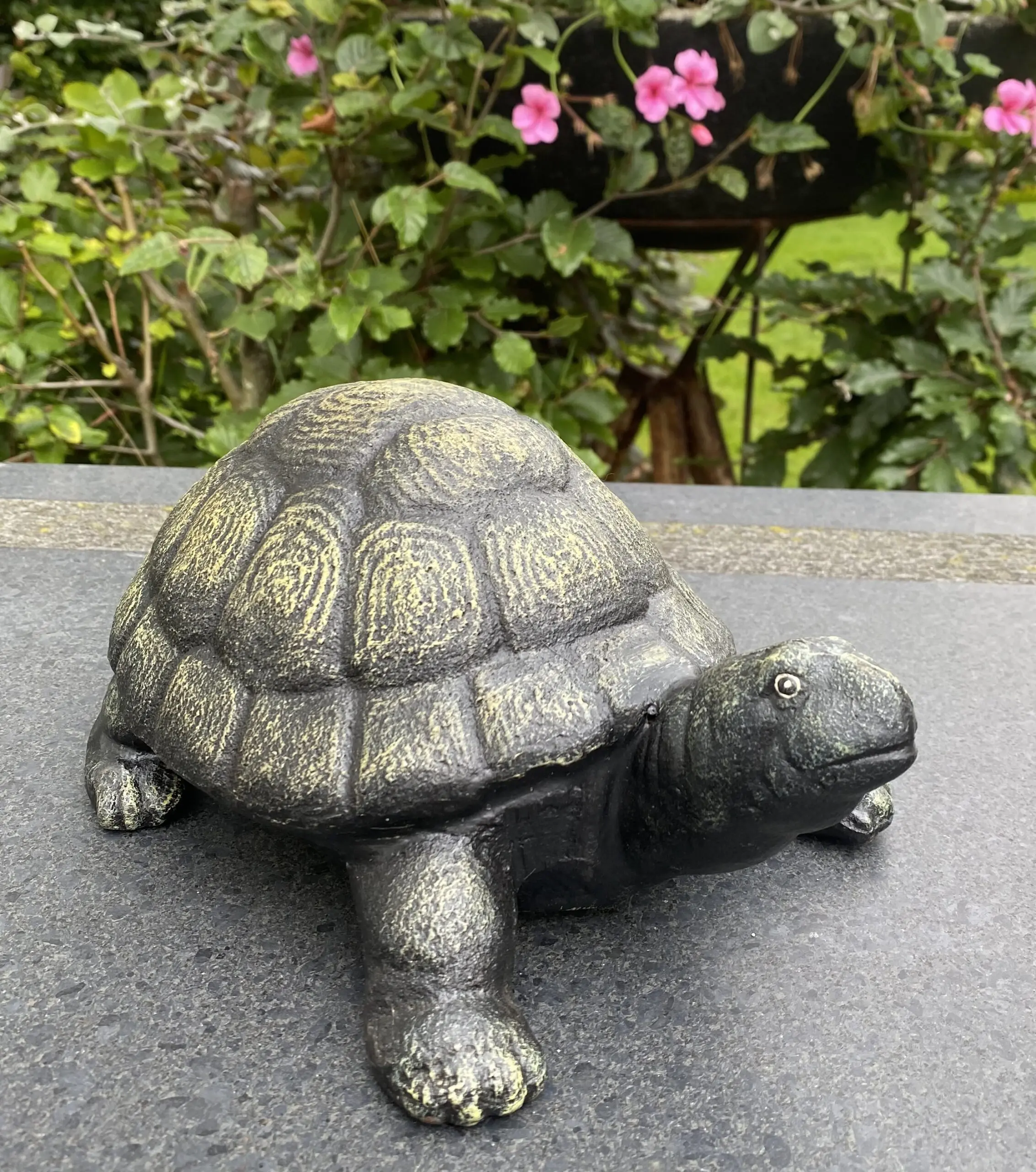 Schildpad, Gietijzer, Bronslook SG580 - Afbeelding 4